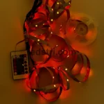 2024_08_29_13_08_IMG_5483