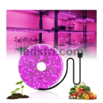 LED стрічка для рослин в кімнаті з USB 2835 Фітолампою Повний Спектр від GrowLight 5 м