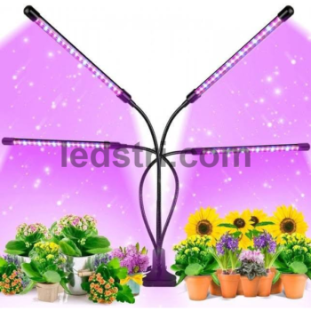 Фітолампа для рослин Plant GrowLight LED з таймером, чорна