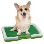 kylymok-dlya-sobak-puppy-pad