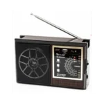 radio-rx-9922-golon-z-akumulyatorom