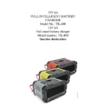 zaryadnyj-prystrij-12-v-6-a-smart-car-battery-tk400