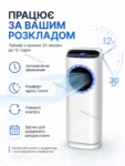 5358-7.webp
