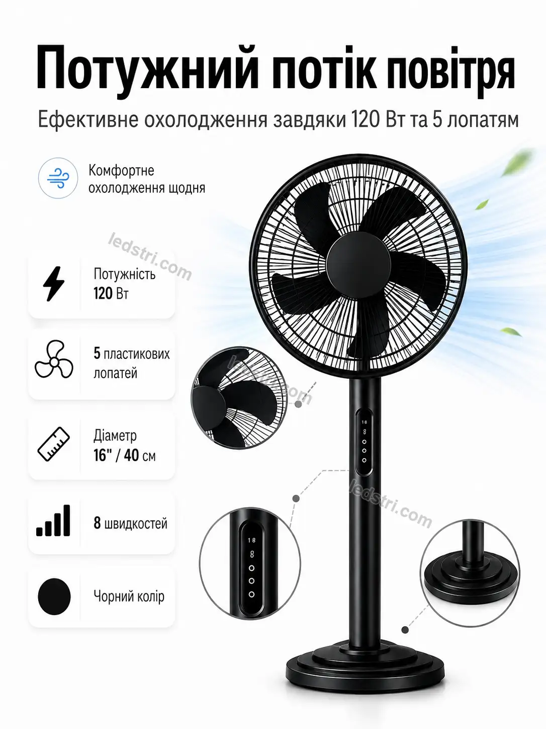 6031-4.webp