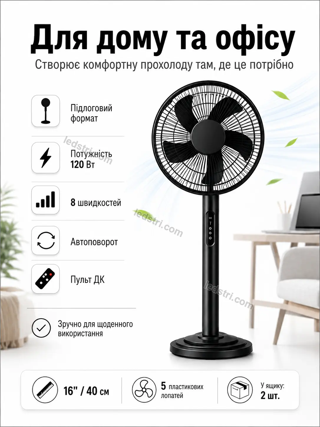 6031-7.webp