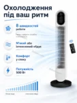 6073-4.webp