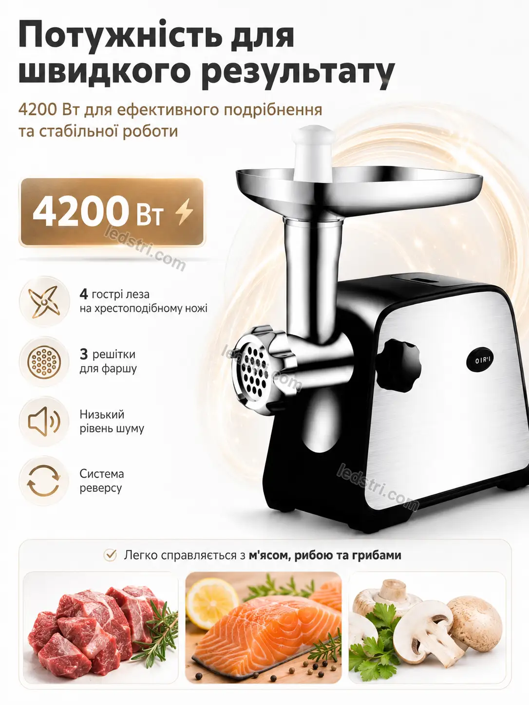 6504-3.webp