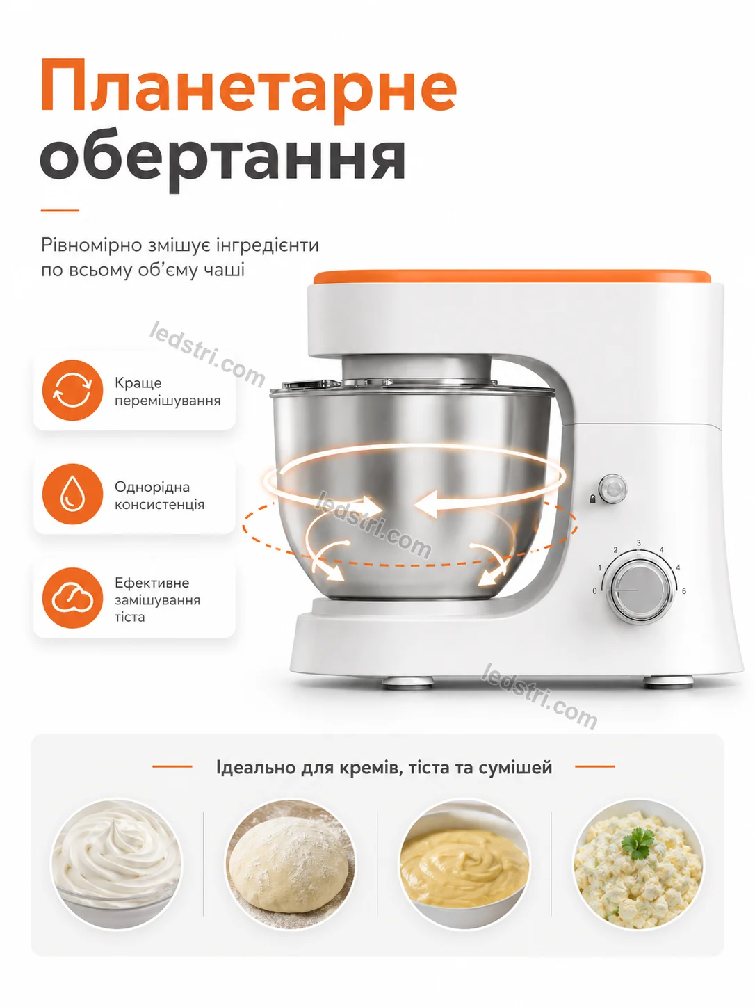 7019-1.webp