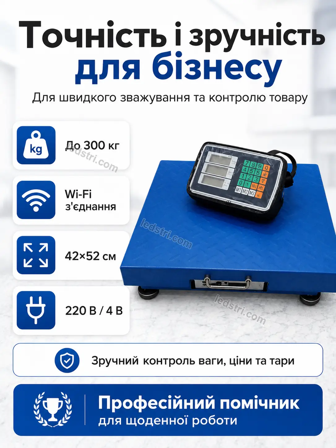 7498-8.webp
