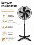 8084-3.webp
