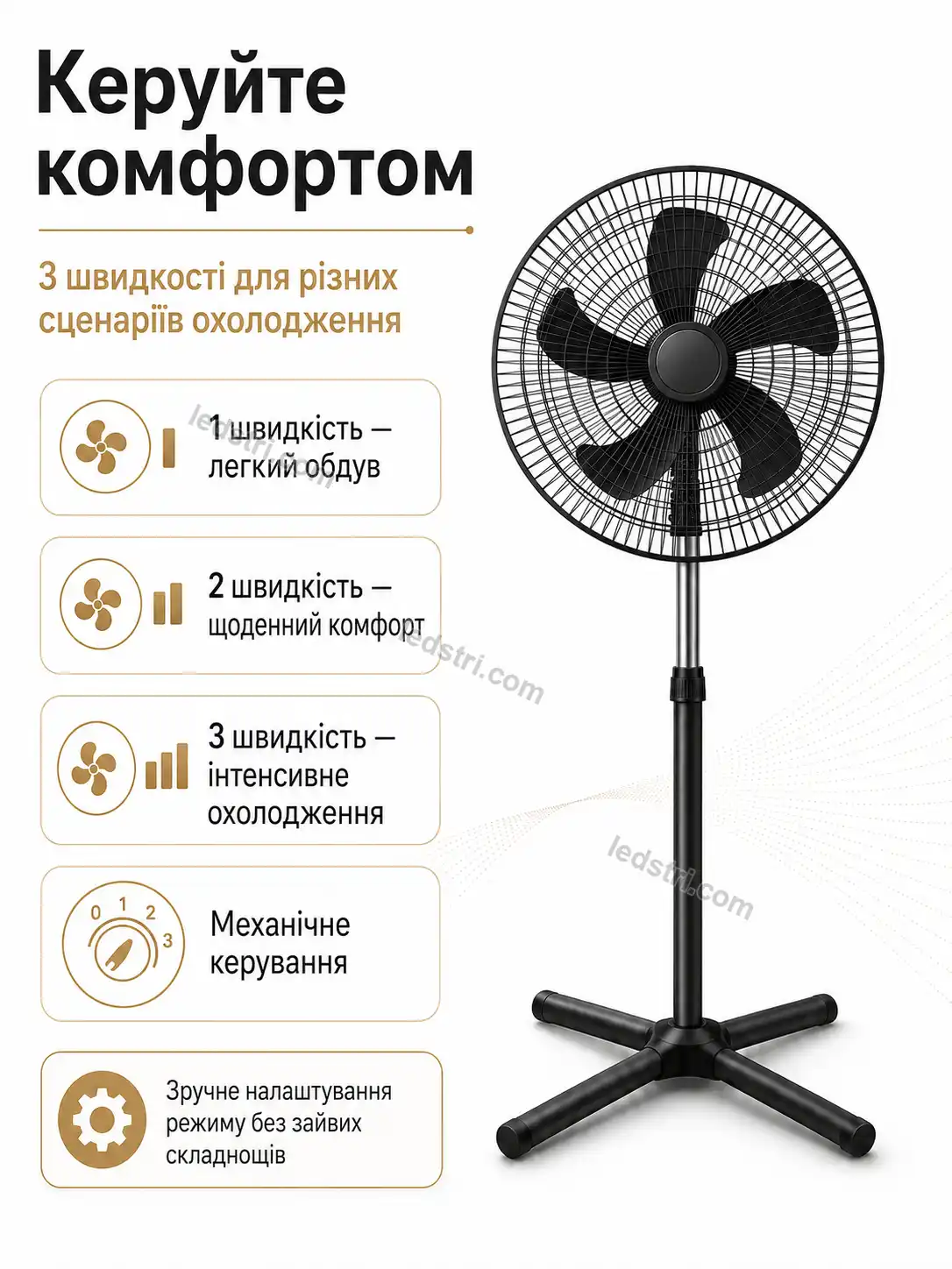 8084-3.webp