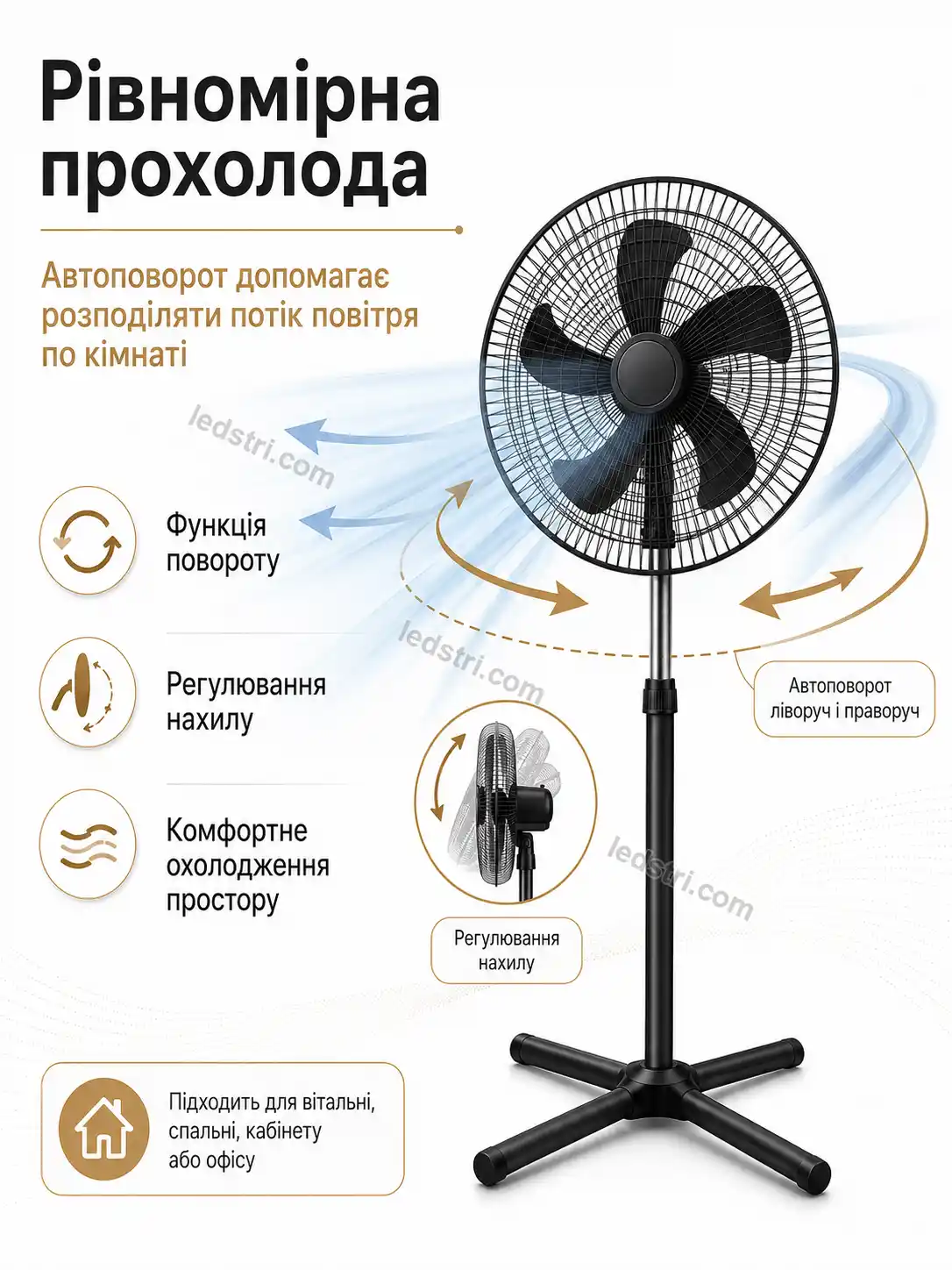 8084-4.webp