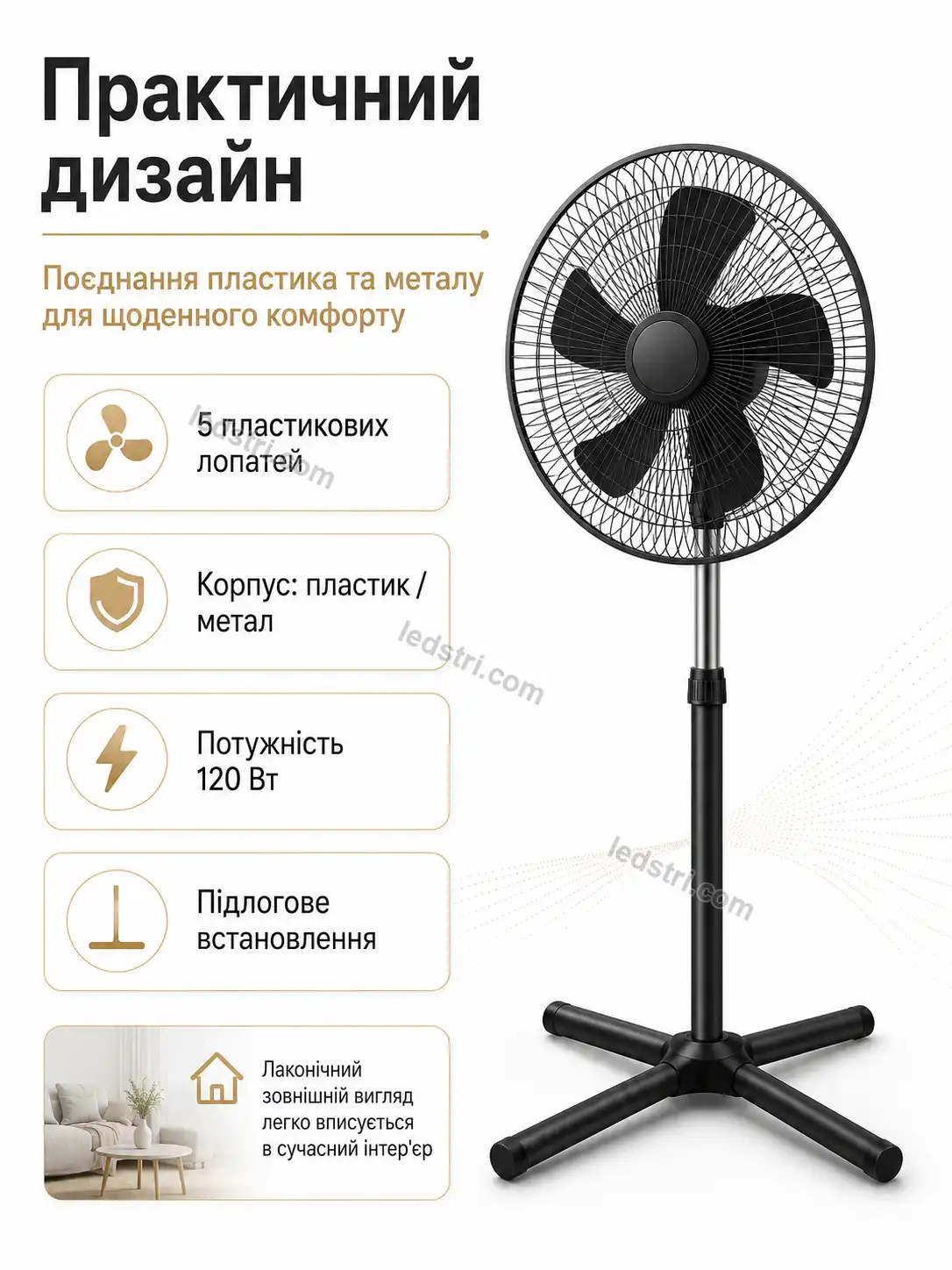 8084-7.webp
