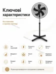 8084-8.webp