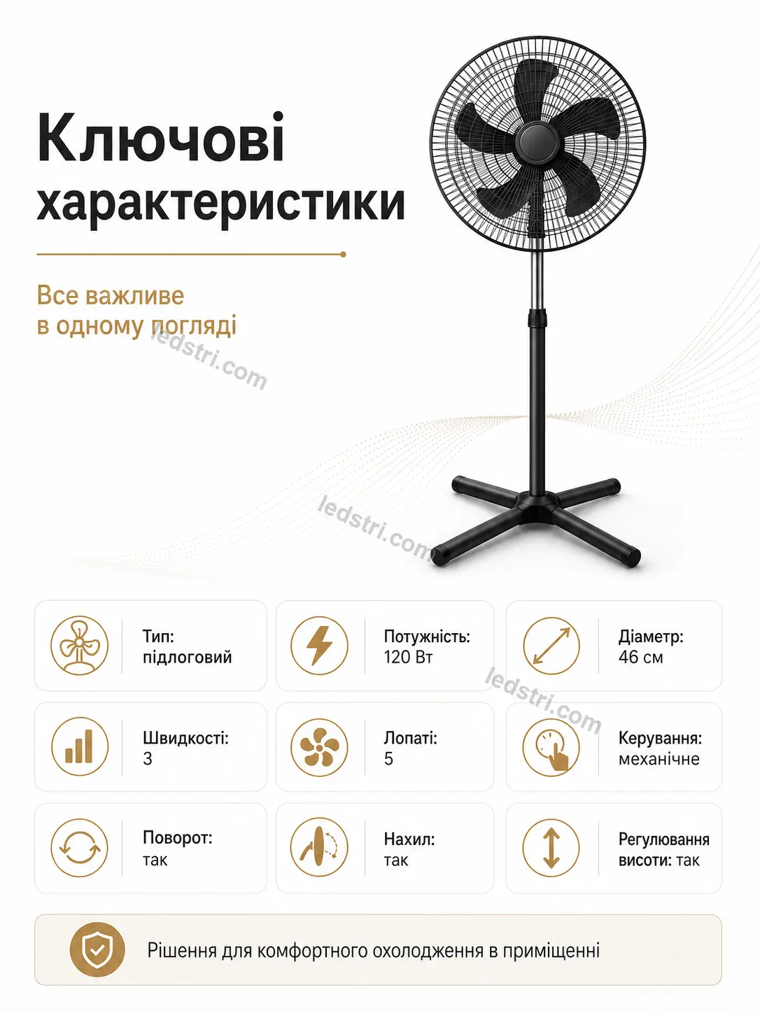 8084-8.webp