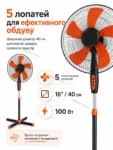 8088-4.webp