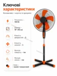 8088-7.webp