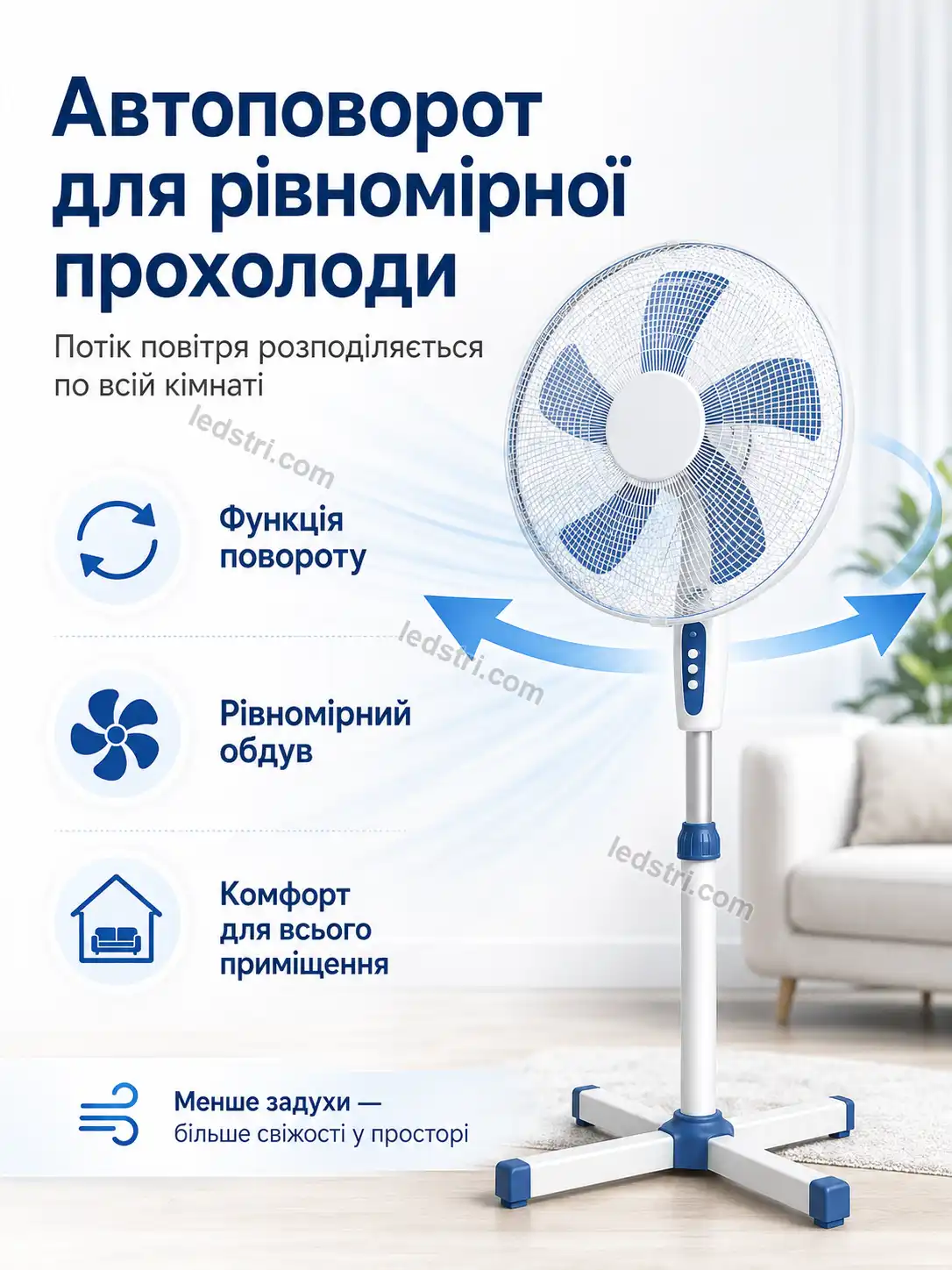 8089-3.webp