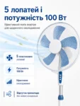 8089-5.webp