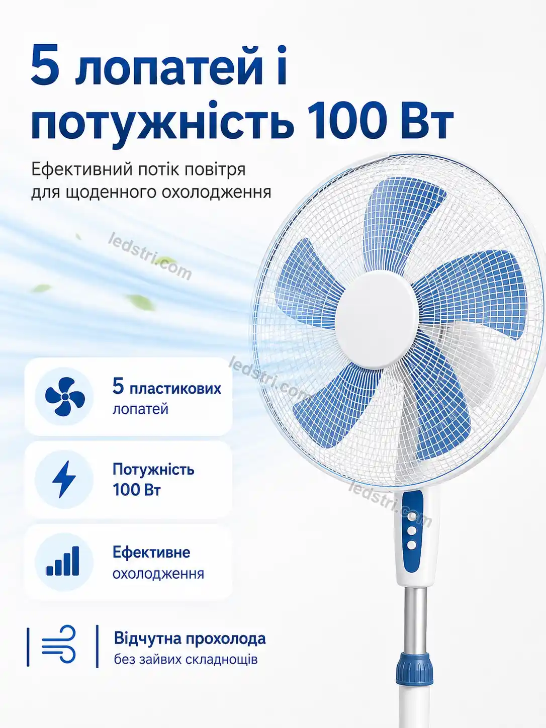 8089-5.webp
