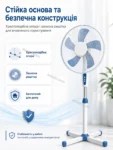 8089-6.webp