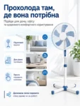 8089-7.webp
