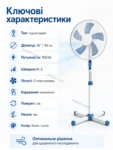 8089-8.webp