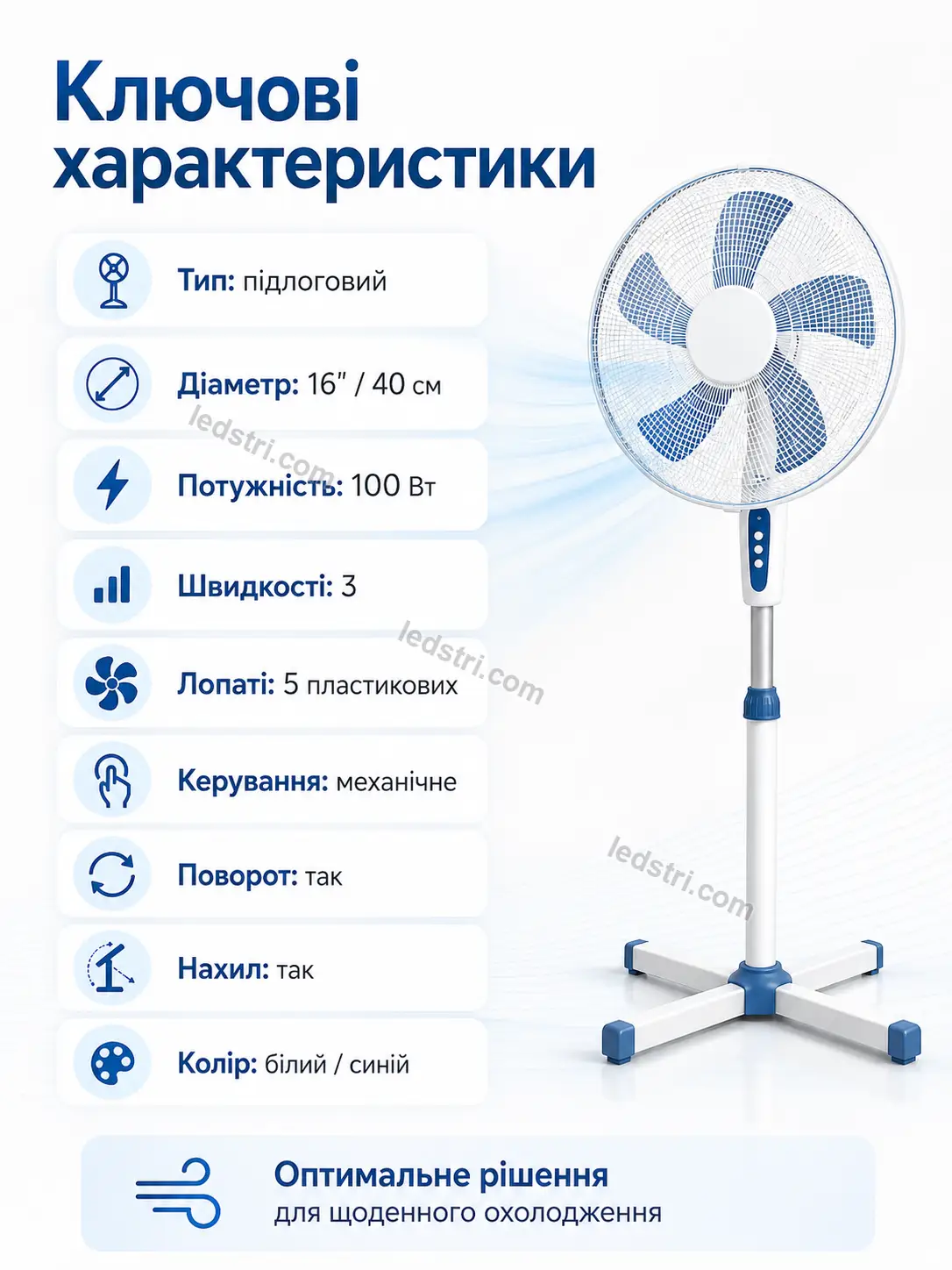8089-8.webp