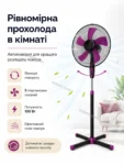 8090-3.webp
