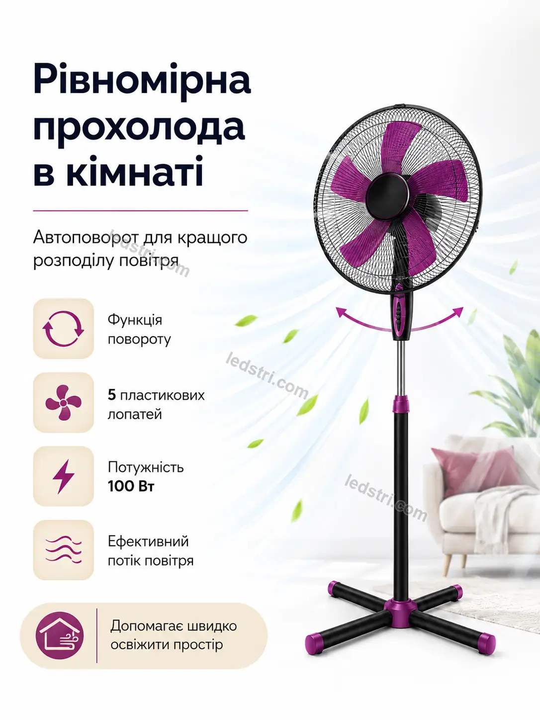 8090-3.webp