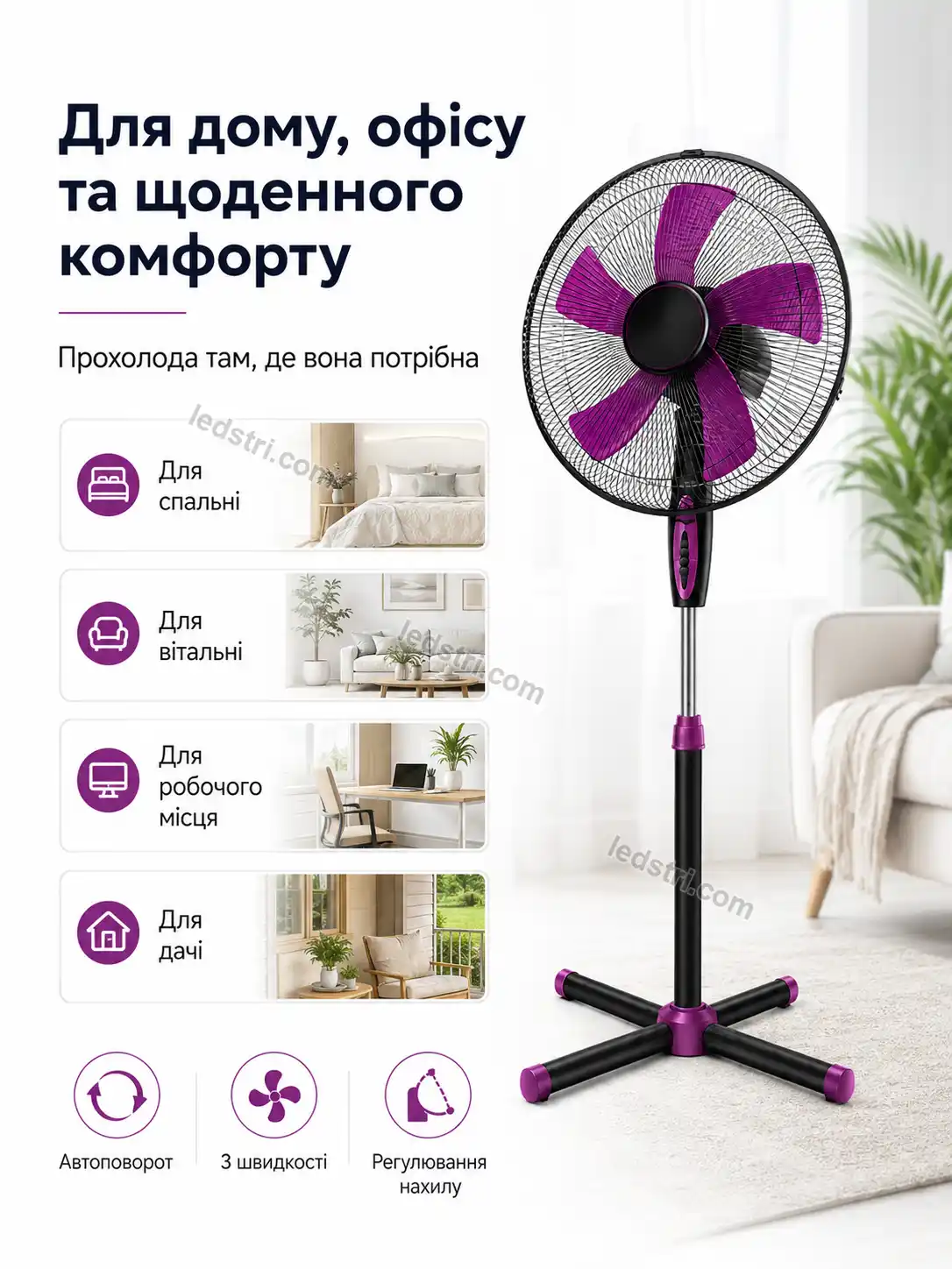 8090-7.webp