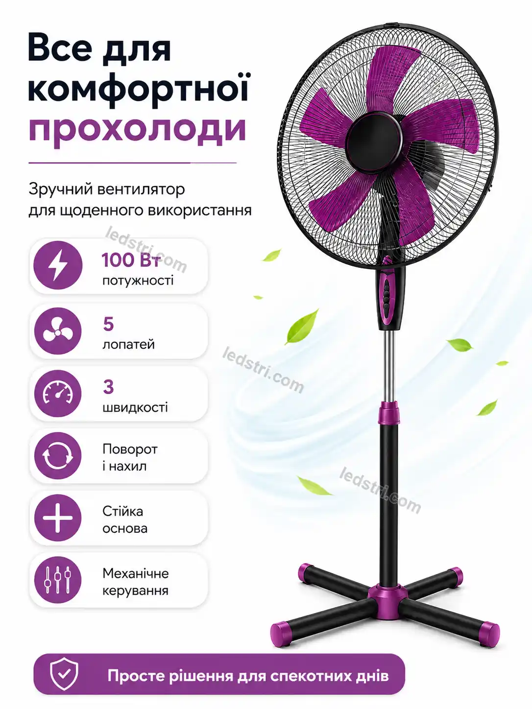 8090-8.webp