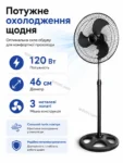 9061-3.webp