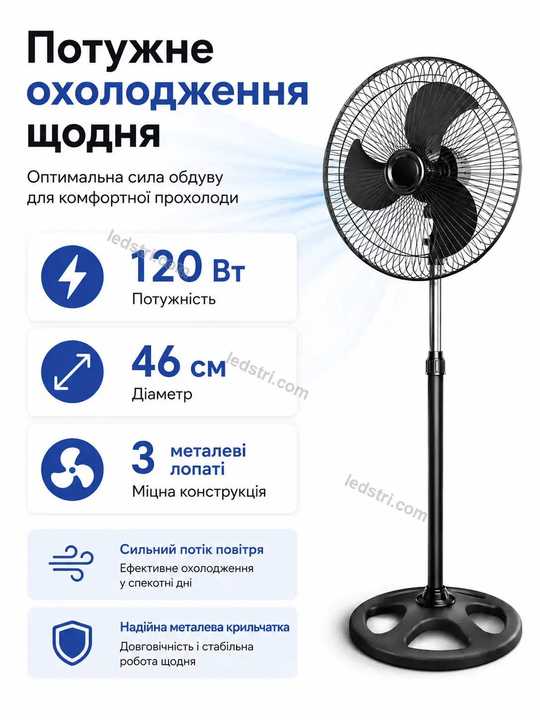 9061-3.webp