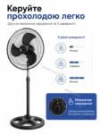 9061-4.webp