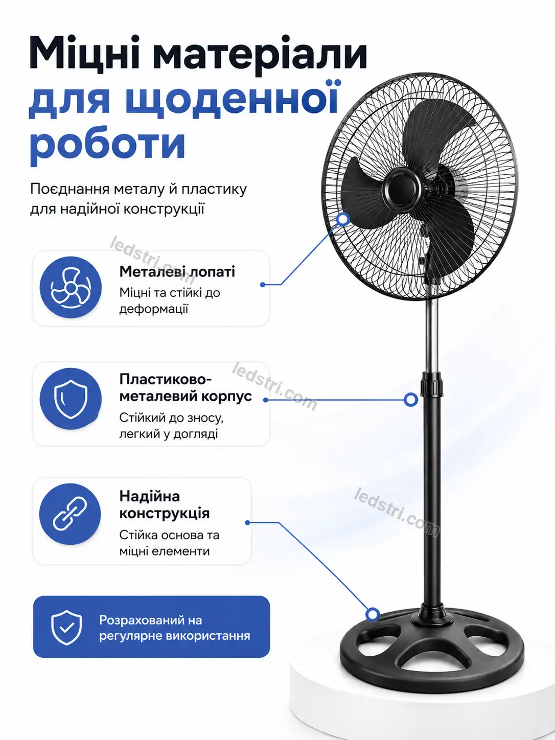 9061-6.webp