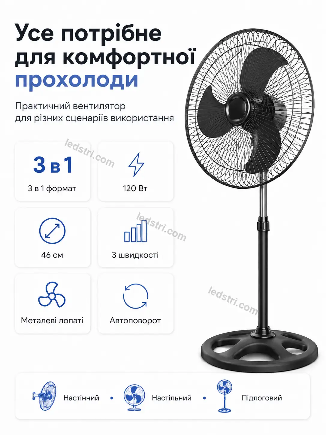9061-8.webp