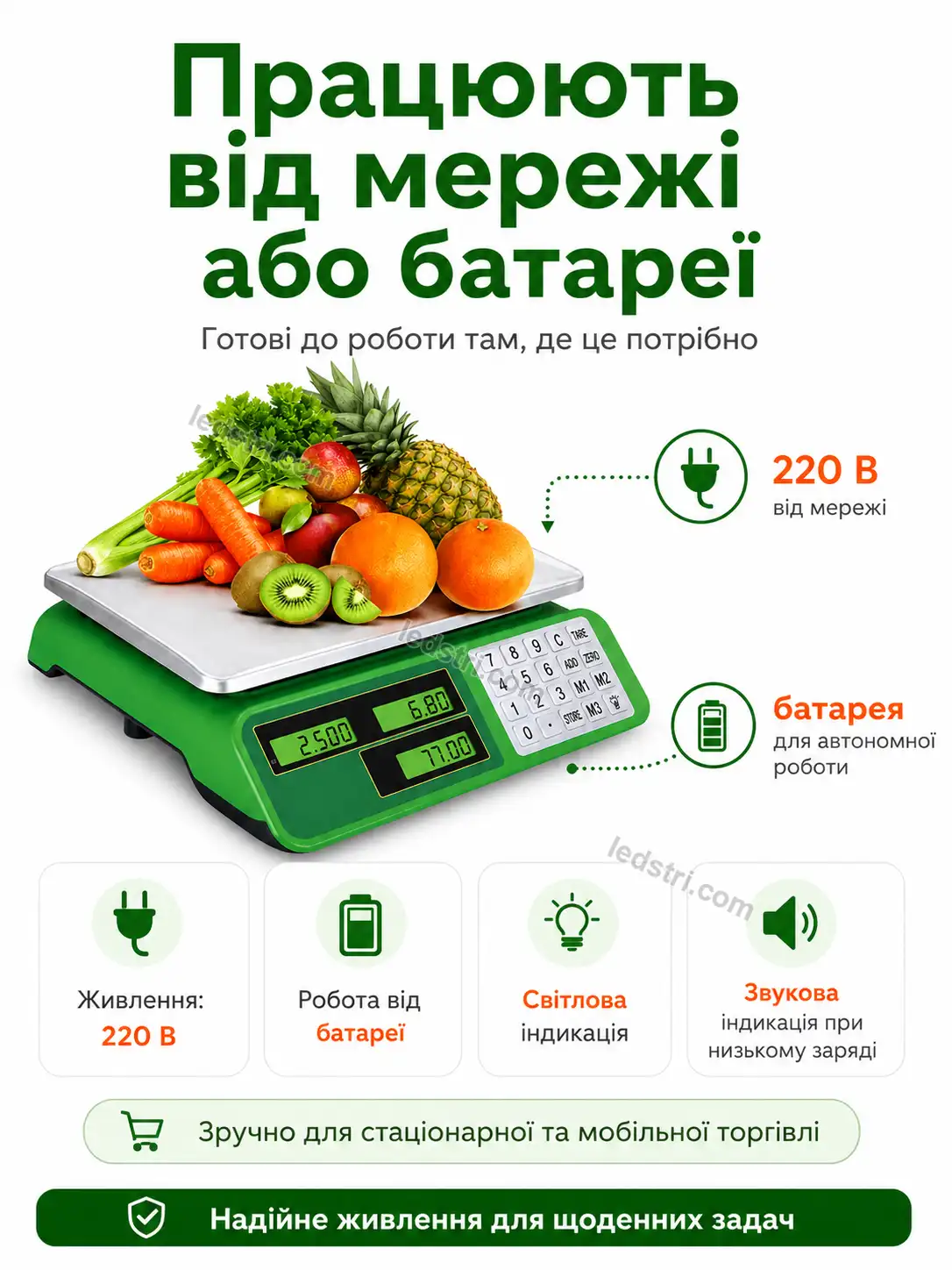 9446-6.webp