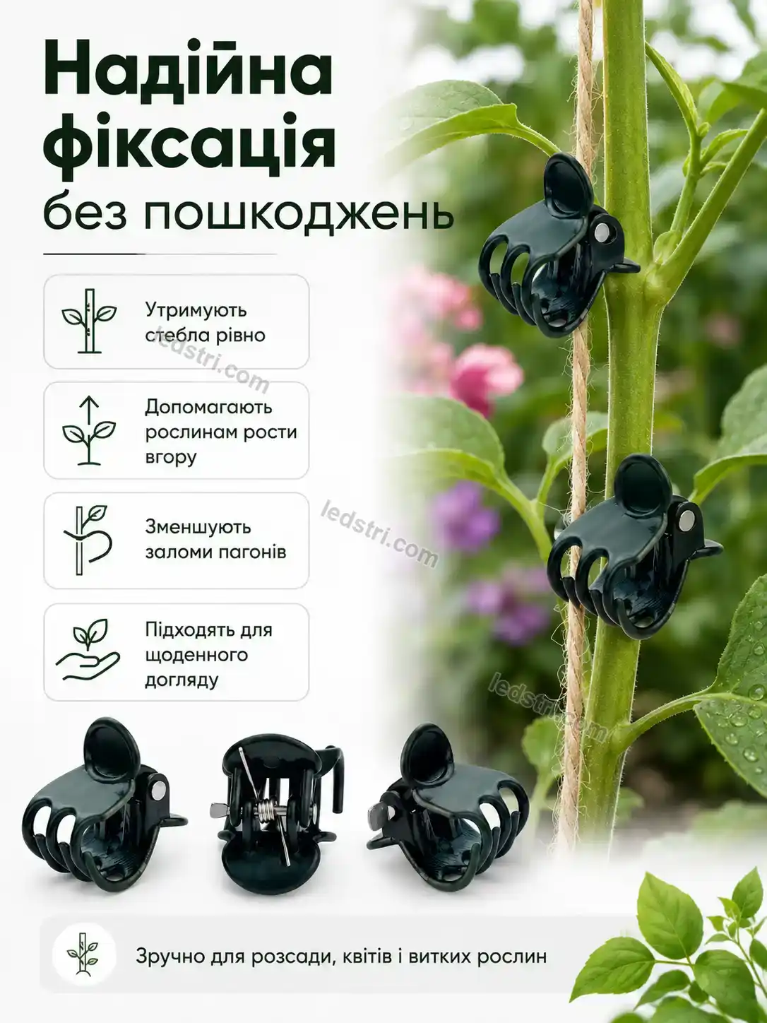 ✨ Крабик крепление для растений Terra Go Bright