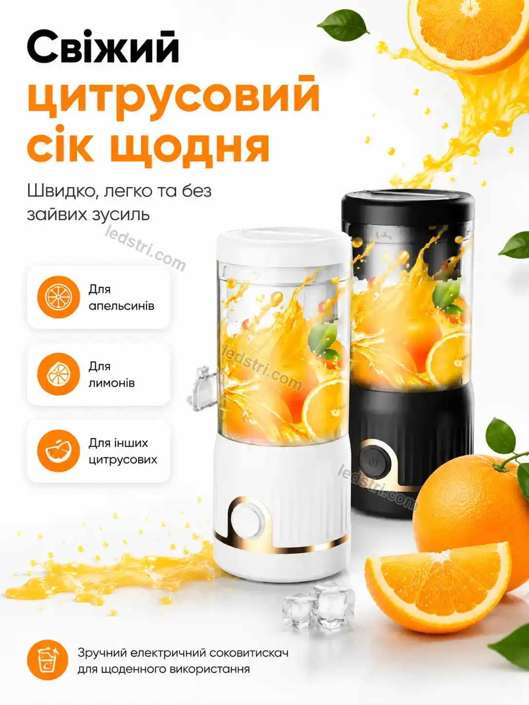 ✨ Блендер Rondo Plus Kind